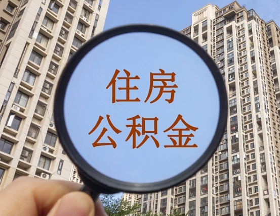 鄂州退休后查不到公积金明细了吗（退休后公积金查询不到原因）